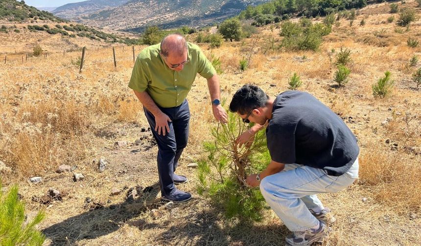 Kuraklığı önlemede 'su hasadı' yöntemi