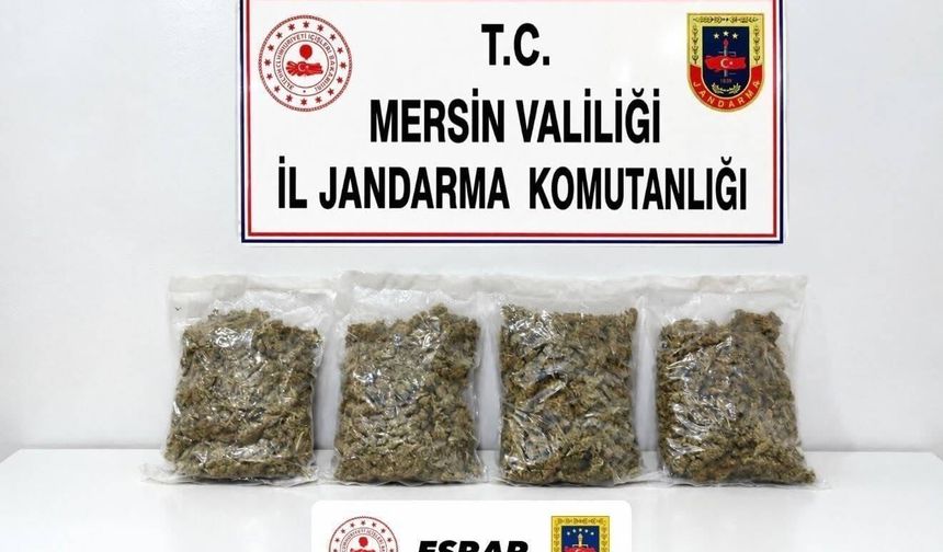 Mersin’de yasaklı madde operasyonu