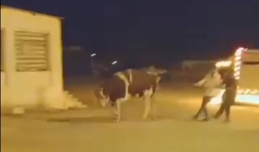 Yaşamak için kaçtı ölmek istemedi!