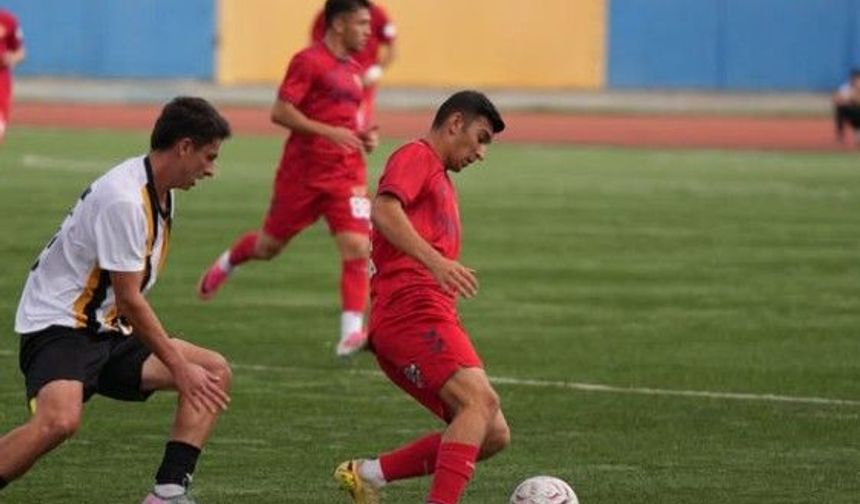 Mersin İdman Yurdu kazanmaya alıştı: 2-0