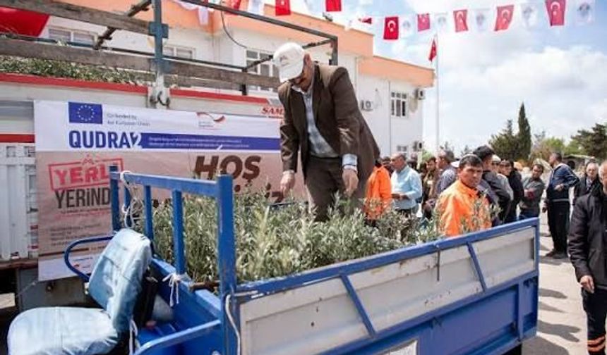Mersin Büyükşehir’in yarısı hibeli fidan dağıtımında yeni kampanya