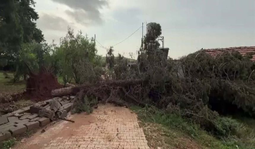 Hatay'da yağış hayatı olumsuz etkiledi