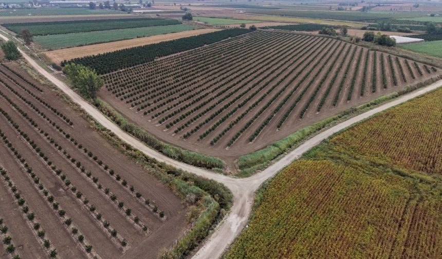 Tarsus’ta arazi yollarına bakım ve düzenleme