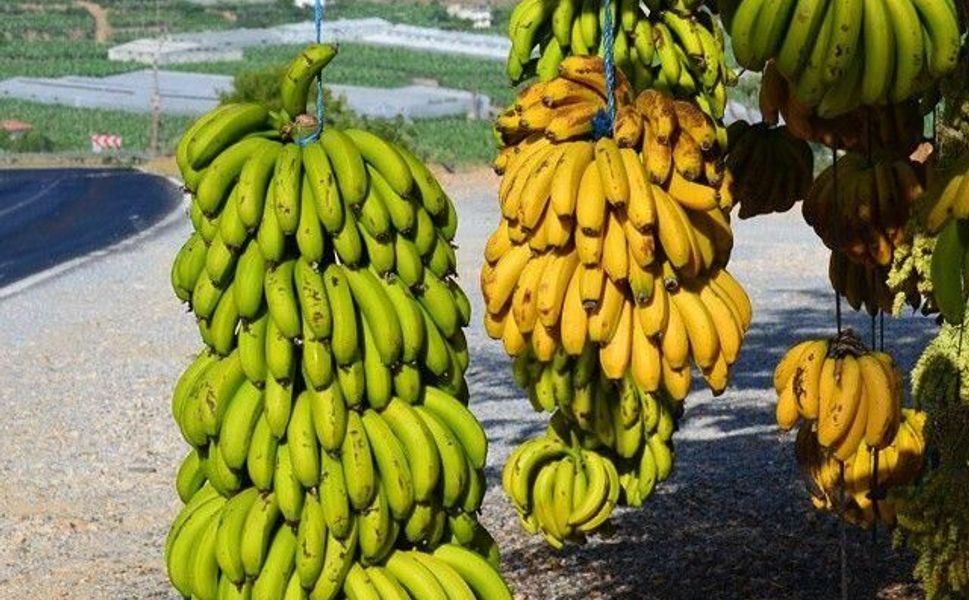 Üreticinin emeğini ucuza almak isteyenlere fırsat vermeyin