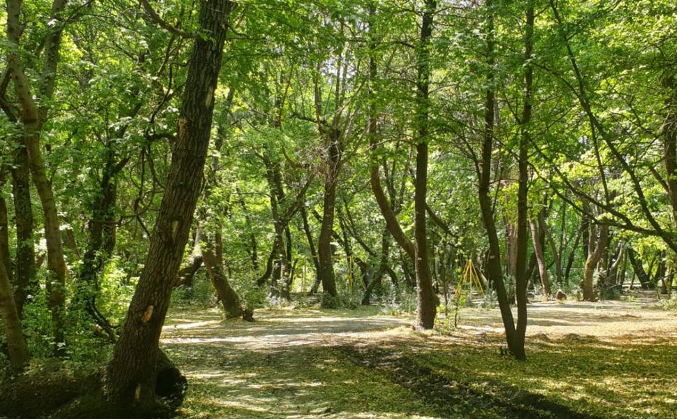 Mersin’in Yüzölçümünün Yüzde 53’ü Ormanlarla Kaplı