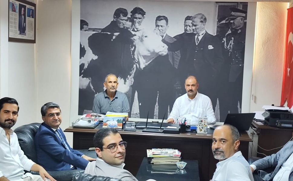 Mersin’de Hayvancılık Alarm Veriyor: Genç Üretici Yok, Hayvan Sayısı Azaldı