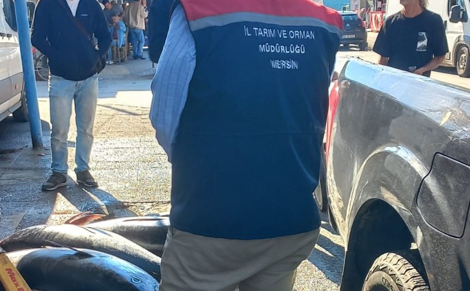Mersin’de Kaçak Balığa El Konuldu, İşletmeye Ceza Kesildi