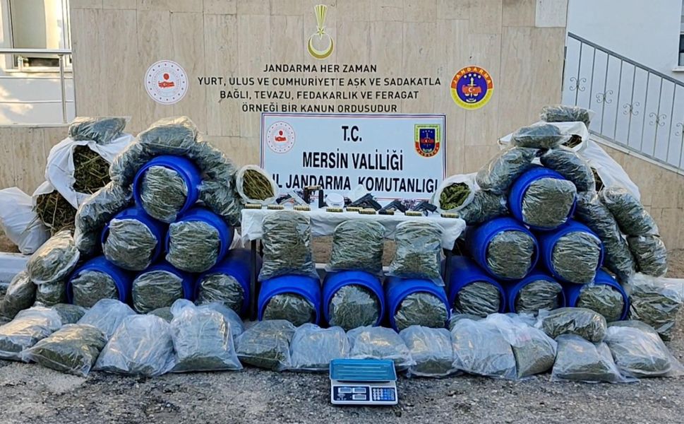 Mersin’de Binlerce Kök Kenevir Ele Geçirildi: 4 Gözaltı