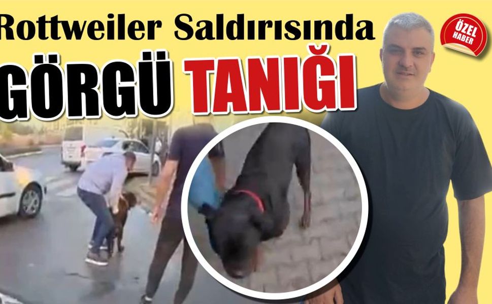 Mersin’de Rottweiler Saldırısı Tanığından Dikkat Çeken İddialar!