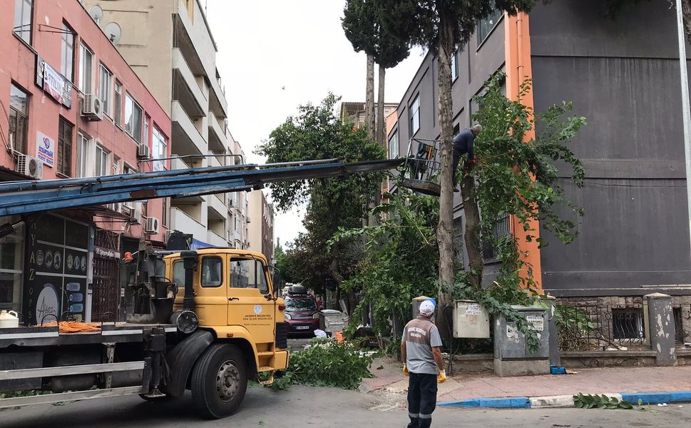 Akdeniz’de Sonbahar Mesaisi: Kaldırımlar Temiz, Dallar Budandı