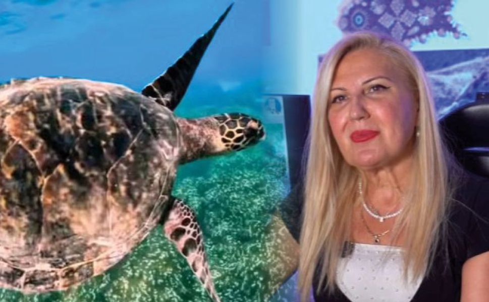 Prof. Dr. Ergene’den Deniz Kaplumbağaları Uyarısı