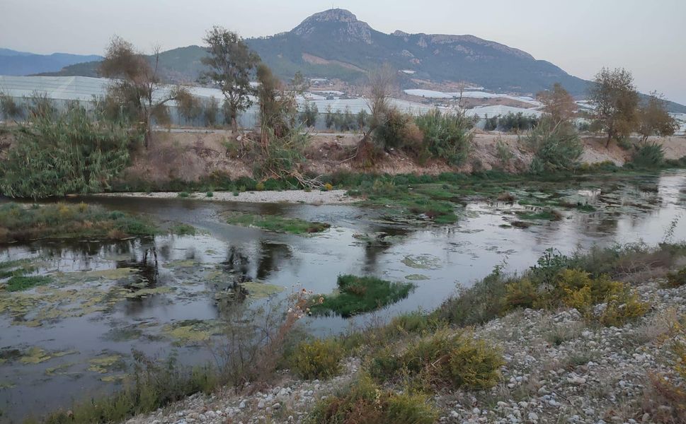 Dragon Çayı Can Çekişiyor: Çevrecilerden Baraj ve HES'lere Sert Tepki