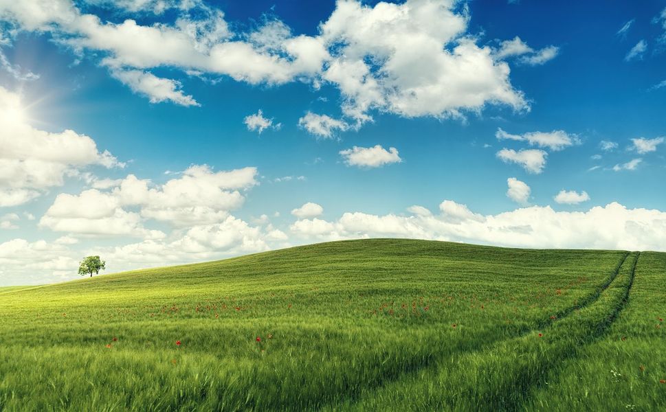 Mersin'de arabadan bile ucuza arsa satılacak: İşte ucuzluğunun sebebi