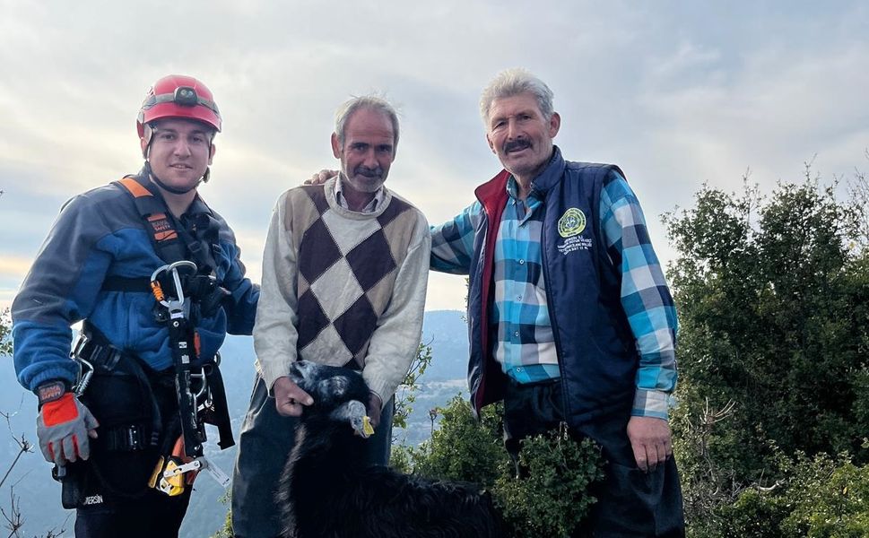 Kayalıklarda Mahsur Kalan Keçileri İtfaiye Kurtardı