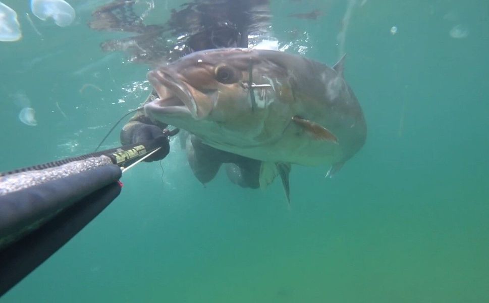 Mersin’de Zıpkıncılar Yeni Düzenlemeye Hazırlanıyor