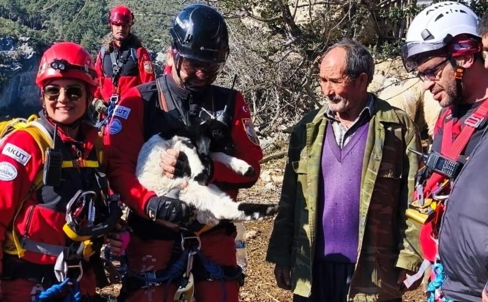 Mersin’de Yürekleri Isıtan Kurtarma: Kuzu Annesine Kavuştu