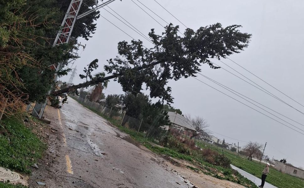Toroslar EDAŞ’tan Fırtına Mesaisi: Hasarlı Hatlar Onarılıyor0