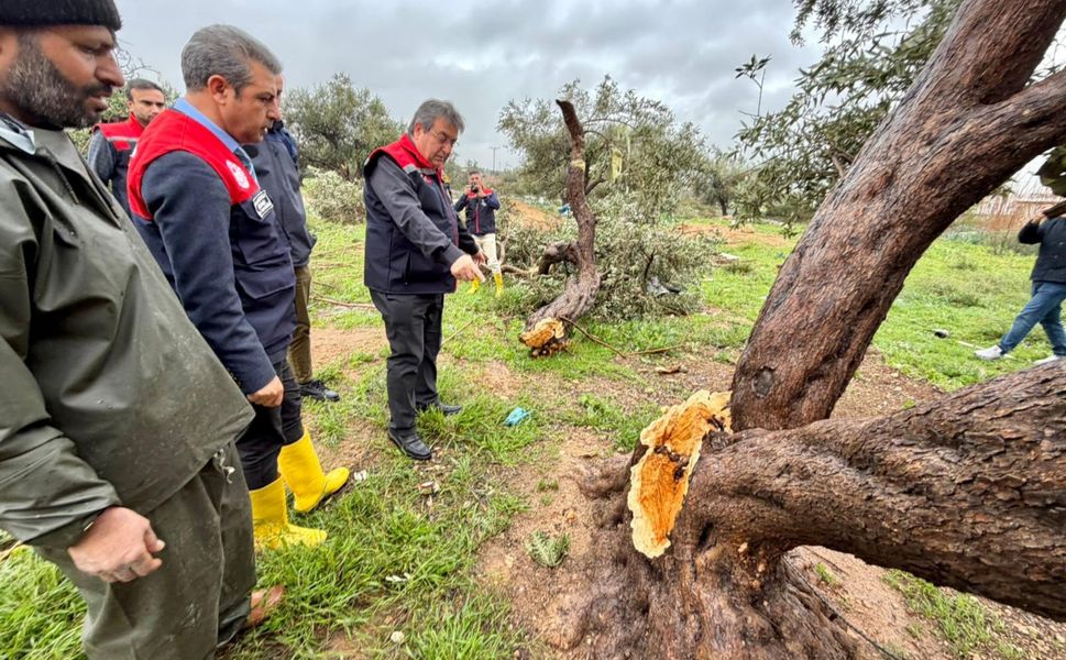 Mersin'de Zarar Gören Üreticilere Destek İçin Ekipler Sahada
