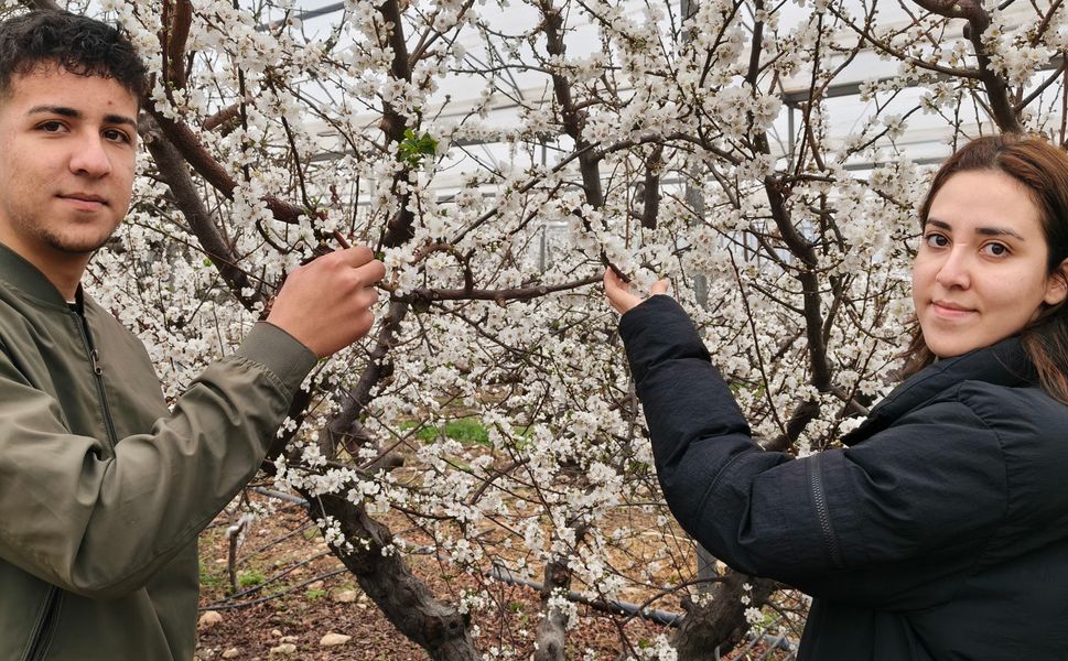 Karla Kaplı Türkiye’de Silifke’de Bahar Erken Geldi