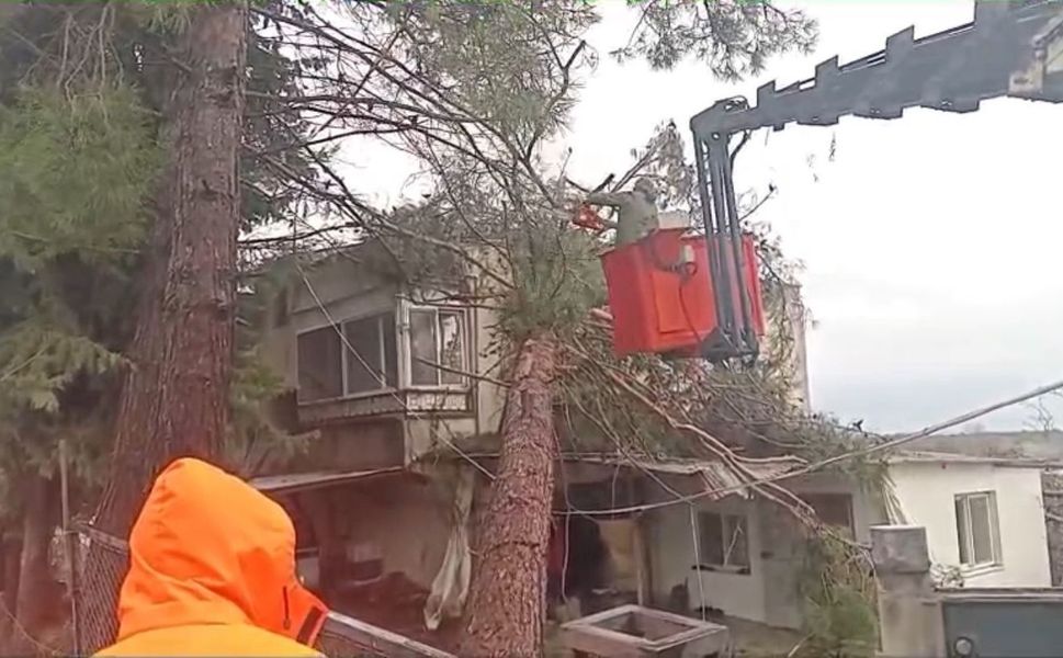Fırtınada Yıkılan Ağaç Evin Üzerine Devrildi