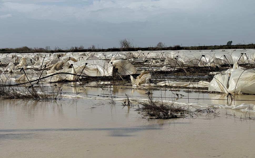 Tarsus'ta Yağmur ve Fırtına Etkili Oldu