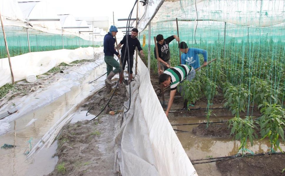 Mersin’de Sağanak Yağış Tarımı Vurdu: Araziler Sular Altında, Ürünler Zarar Gördü