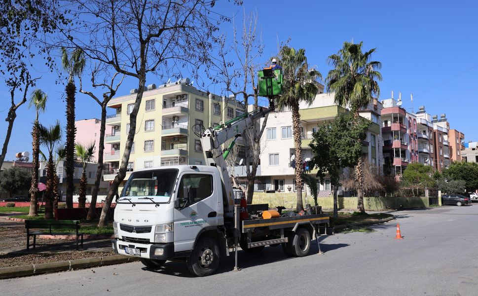 Toroslar Belediyesinden Ağaç Bakımı