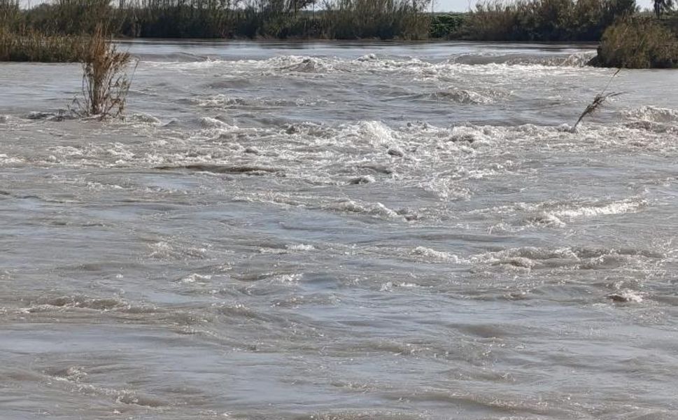 Seyhan Nehri taştı, tarlalar sular altında kaldı