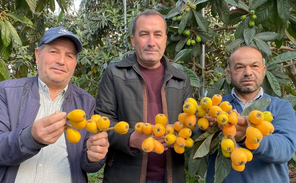 Yenidünya sezonu açıldı: İlk ürünler yurtiçi ve yurtdışına gidiyor