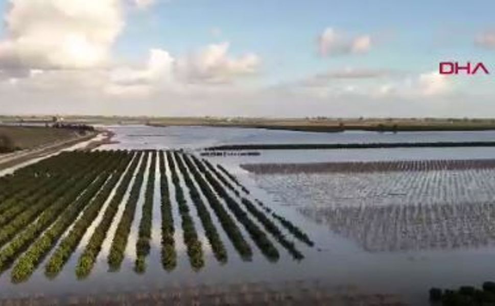 Mersin'de selin bilançosu ağır: tarım arazileri sular altında