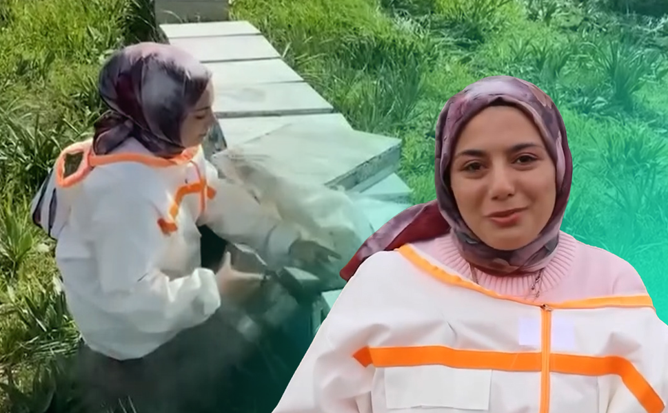 Adana'da kadın arıcı: Babamın yükünü hafifletmekle başladım, şimdi kendi kovanlarımı artırdım