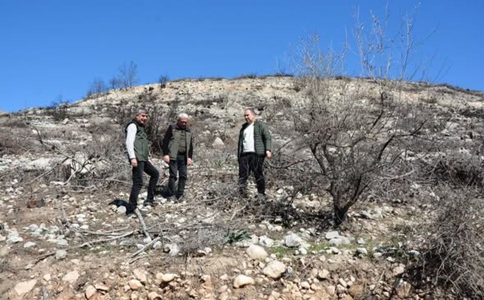 Yanan Sahalarda İlk Çimlenmeler Görülmeye Başladı