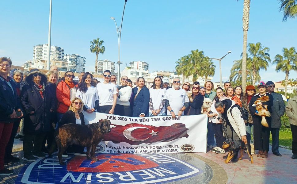 Mersin’de Hayvan Hakları İçin Eş Zamanlı Çağrı: “Sorun Yasa Değil, Uygulama”