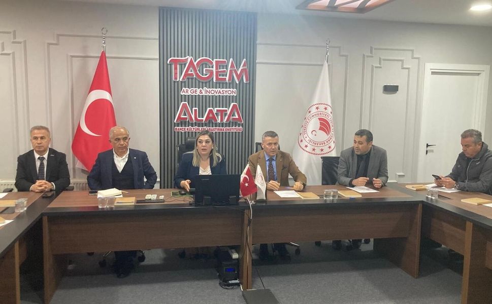 Mersin tarımında bilimsel hasat