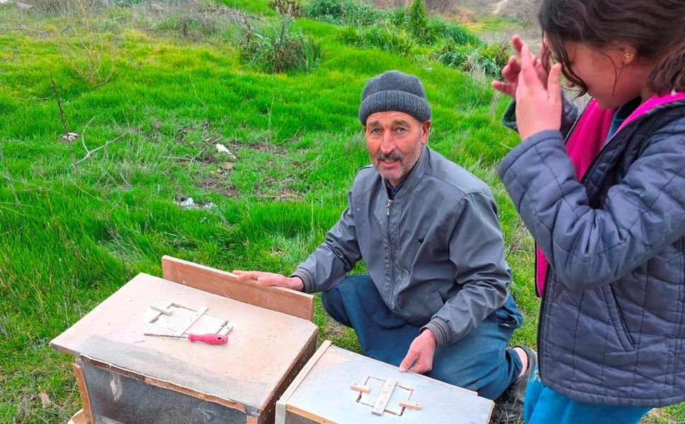 Mersin'de zamansız zirai ilaçlama arıların ölümüne sebep oldu