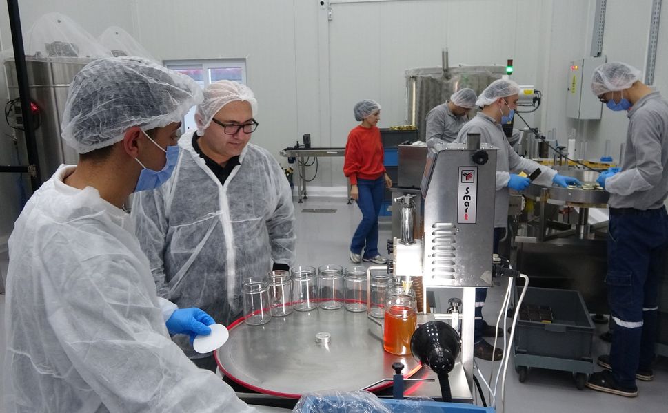 Mersin'de devlet destekli modern tesislerde bal üretimi