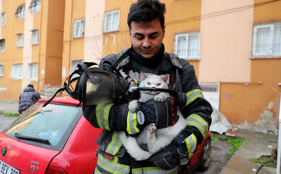 Alevlerin arasından hamile kediyi kurtardılar