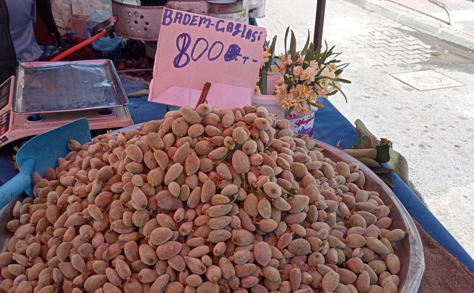 Sezonun ilk çağlaları tezgahlarda