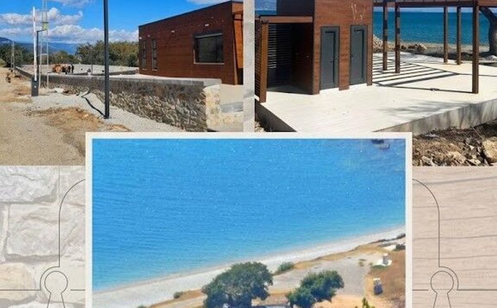 Anemurium’a betonu doğal görünsün diye kahverengiye boyandı