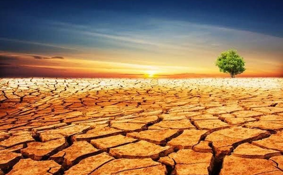 DAÇE ve Mersin Çevre Platformu’ndan acil çağrı