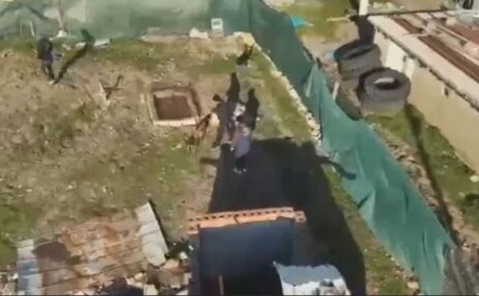 Akraba Cinayeti Sigara İzmaritindeki DNA ile Çözüldü