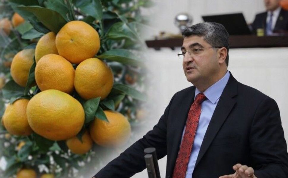 Mersin ve Hatay’da mandalina üretim krizi meclis gündeminde