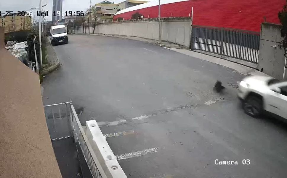 Sürücü köpeği ezdi yoluna devam etti