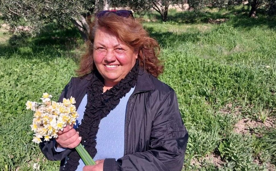 Nergis çiçekleri gelir kaynağı oldu