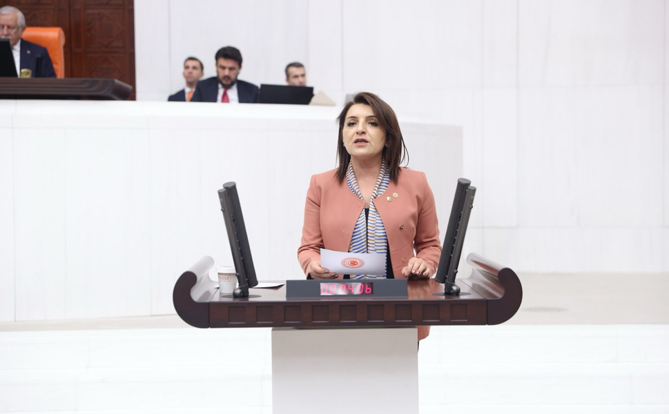 CHP’li Kış’tan ekonomi eleştirisi