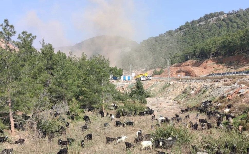 Aydıncık'ta çevre savunucuları kazandı