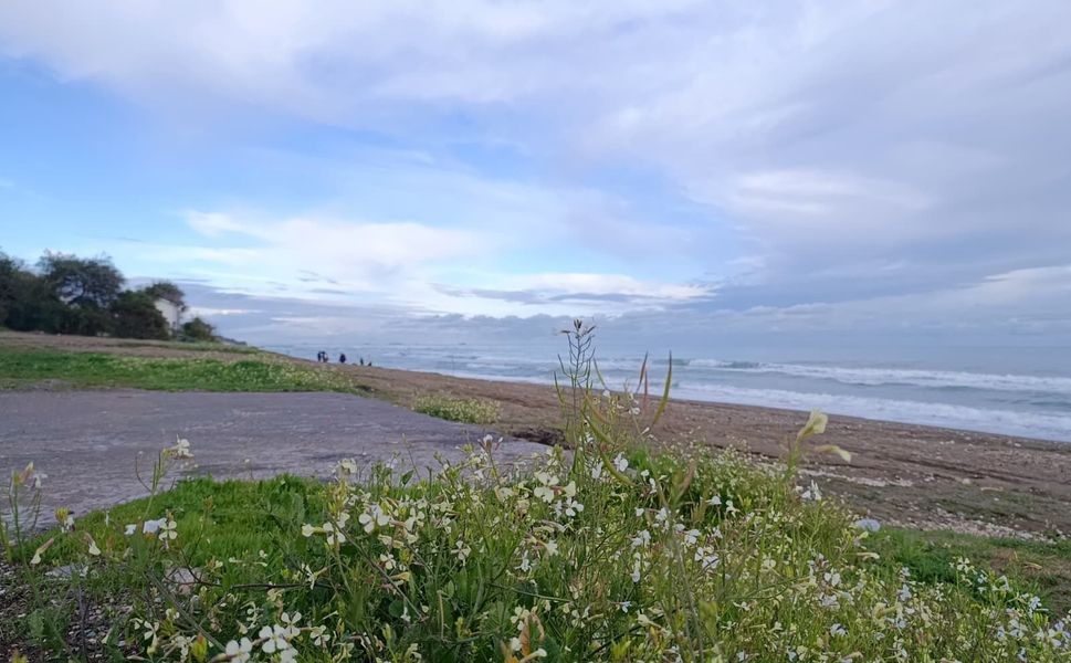 Mersin’de güneş yüzünü gösterdi, vatandaş parklara akın etti