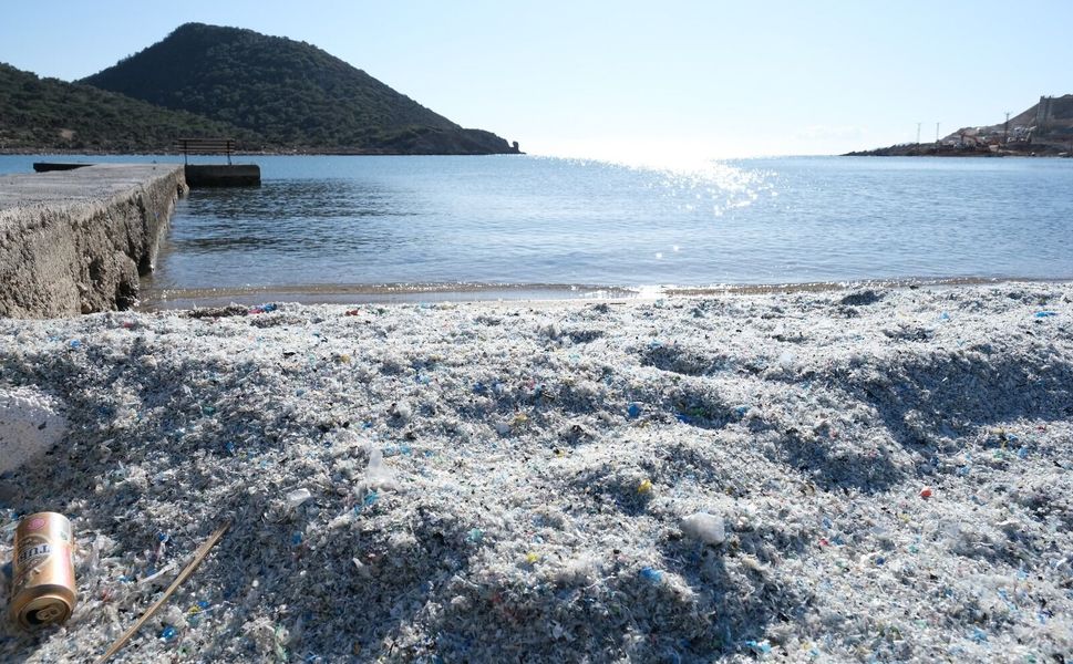 Yeşilovacık sahilinde görülmemiş çevre katliamı