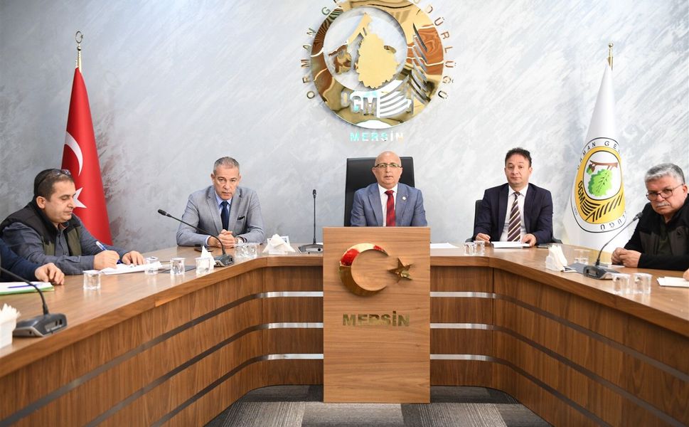 Orman projelerinde yenilikçi dönem