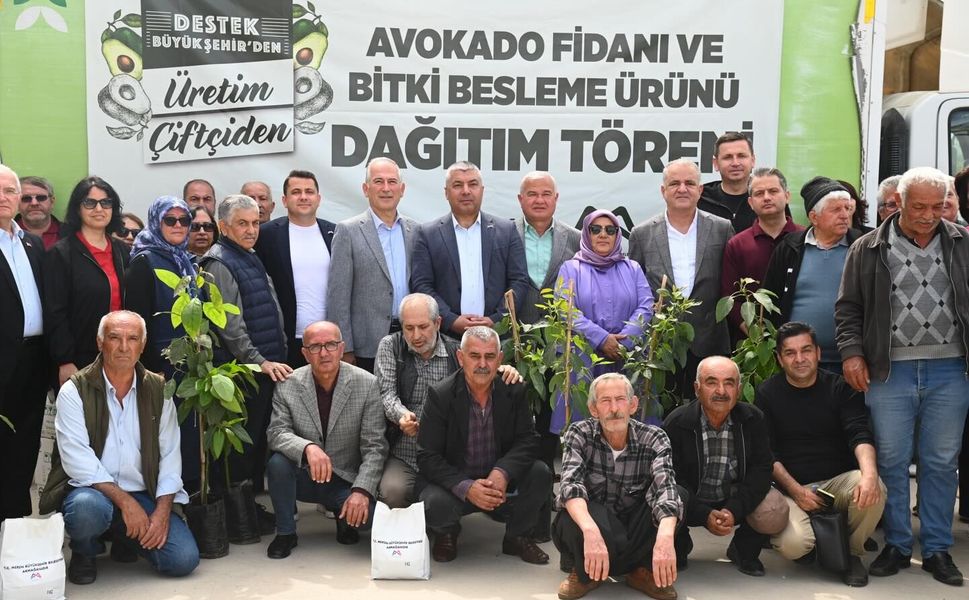 Anamur’da üreticiye destek: Avokado fidanı dağıtıldı